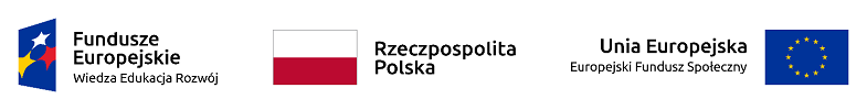 Logotyp projektu POWER napis Fundusze Europejskie flaga Polski i Unii Europejskiej